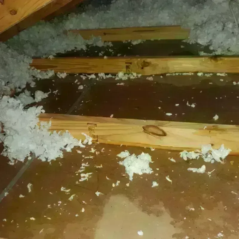 Attic Water Damage in Richland, WA